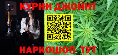 индика Ливны