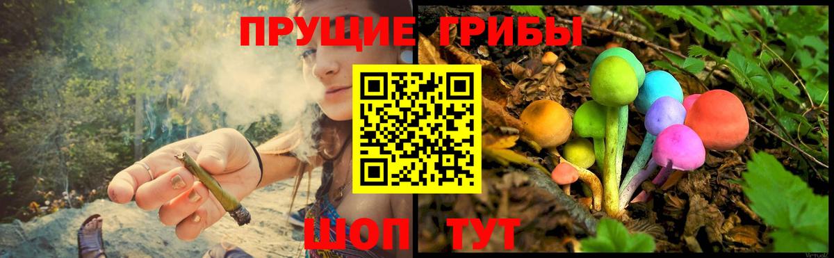 Псилоцибиновые грибы прущие грибы Ессентуки