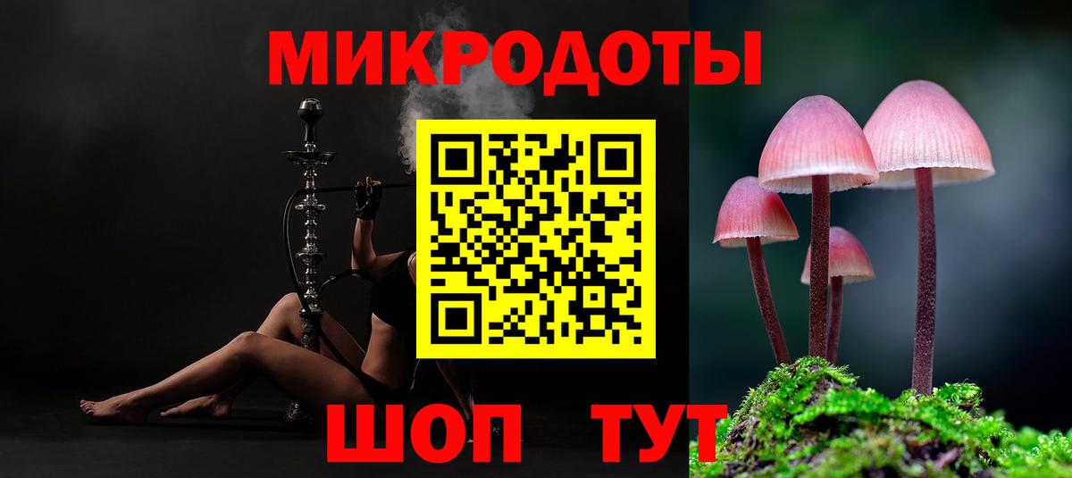Ессентуки  Псилоцибиновые грибы мухоморы  Вход с VPN 